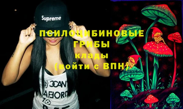 PSILOCYBIN Алзамай